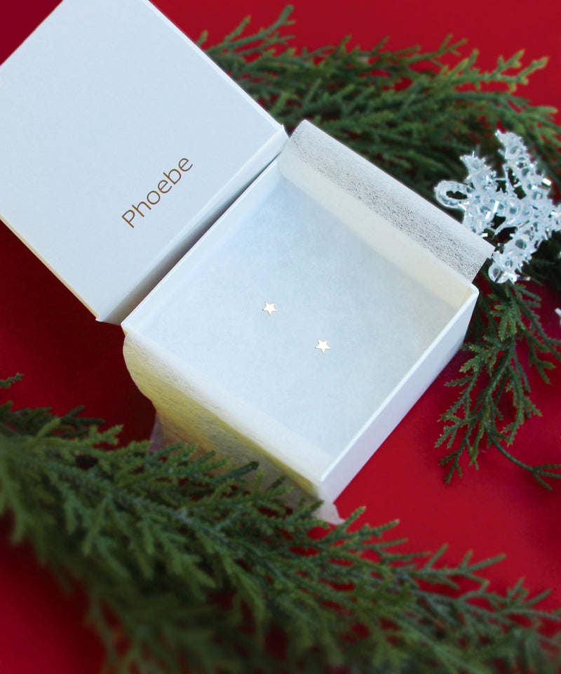 【K10】プチモチーフピアス　BOX付き